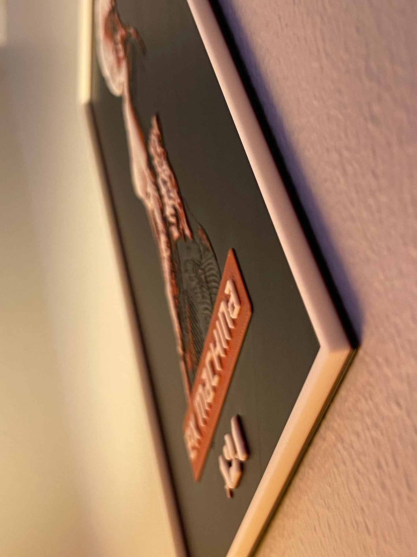 Close-up of a framed picture with a decorative border on a wall.
