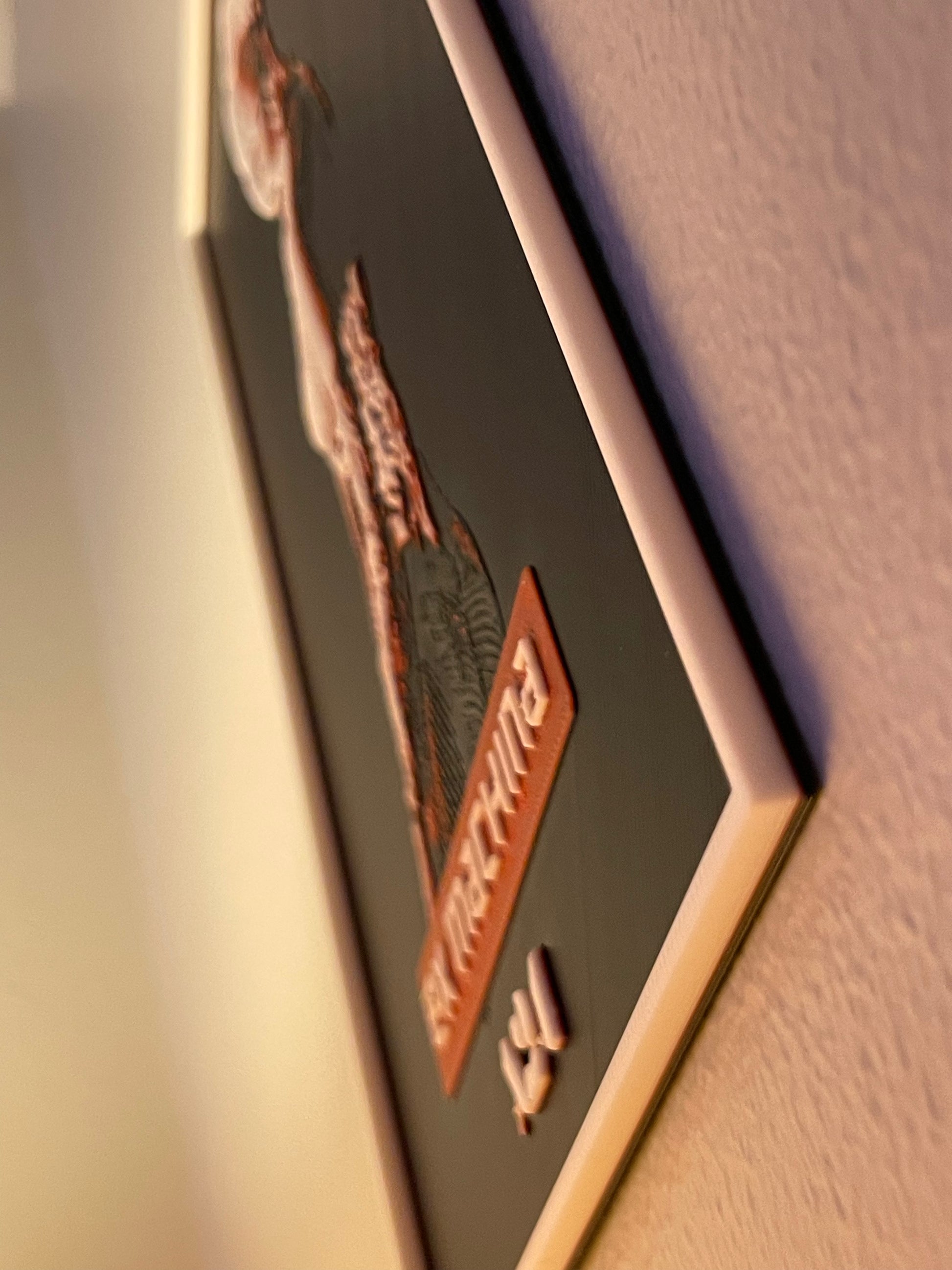 Close-up of a framed picture with a decorative border on a wall.
